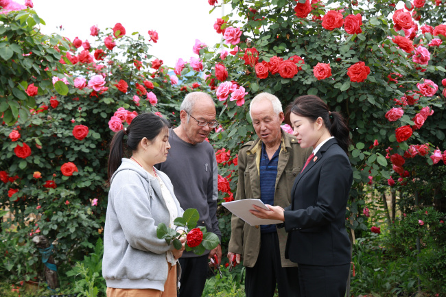 卧龙区法院：“护花使者”进花田，司法服务暖民心